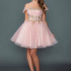 BLUSH